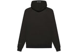 ESNTL HOODIE