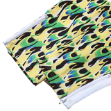 PA – PANT