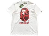 BP T-SHIRT