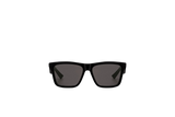 B27 S1I
