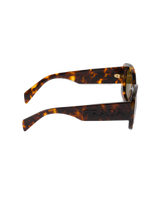 LODEN LENSES
